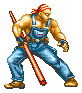 Fatal Fury.