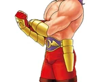 Wolfgang Krauser