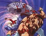 Fatal Fury: Legend of Hungry Wolf artwork