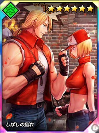 Terry Bogard Snk Wiki Fandom