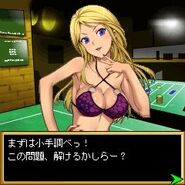 SNK Gals Island Dennou Freecell Ote Yawarakani