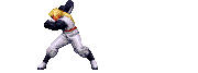 Zan-ei Ken 2001