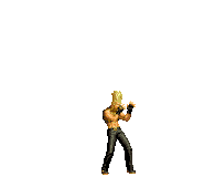 The King of Fighters XI ( ver.)