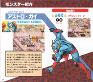 JPN SNES Manual
