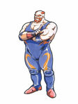 Big Bear in Fatal Fury 2.