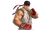 Ryu/Trivia
