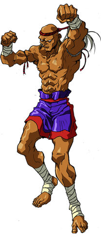 Who Would Win? on X: #Hwa Jai (Fatal Fury) VS #Sagat (Street