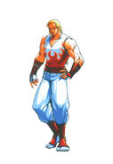 Fatal Fury Wild Ambition artwork