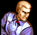 Geese portrait in AOF2 game