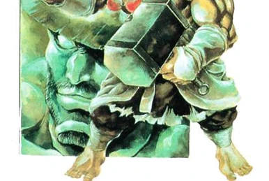 セナgoemon FR2 stores have started carrying products from goyemon and