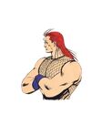 Art of Fighting 2