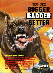 Neogeo-flyer-bigger-badder-better.jpg