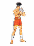 Fatal Fury Special artwork