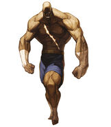 Sagat