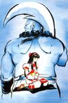 Samurai Shodown: Promotional artwok of Nakoruru and Wan Fu, by Shiroi Eiji.