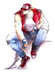 Fatal Fury Special artwork