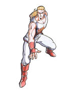 Fatal Fury 2 artwork