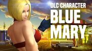 KOF XIV - DLC CHARACTER “BLUE MARY”