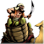 Camel Rider