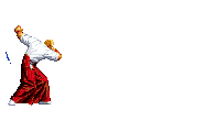 Neo Geo Battle Coliseum (Reppuken)