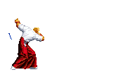 Neo Geo Battle Coliseum (Double Reppuken)