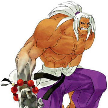 Shigen Naoe Snk Wiki Fandom