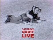 Drew Barrymore 82.jpeg (87 KB) Season 8 Bumper Photo from November 20, 1982: Drew Barrymore's SNL's (and hosting debut), making her the youngest person to ever host SNL at the of 7 years old and her only appearance in the Ebersol-era, with musical guests Squeeze.