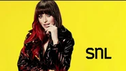 Season 49 of Saturday Night Live Bumper Photo from January 27, 2024, the tenth episode of Season 49 of Saturday Night Live: Dakota Johnson's 2nd hosting stint and her first appearance in 8 years, 10 months and 30 days, with musical guest Justin Timberlake.