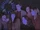 Edie Brickell & The New Bohemians