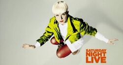 SNL Robyn