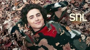 Season 49 of Saturday Night Live Bumper Photo from November 11, 2023, the fourth episode of Season 49 of Saturday Night Live: Timothée Chalamet's 2nd time as the host and he also made his 3rd overall appearance, with musical guests Boygenius.