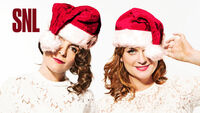 Fey and Poehler's Season 41 title card from when they hosted the ninth episode and the Christmas show of Season 41, for the fifth time and second time, thus making her third former cast member to enter the Five-Timers Club on December 19, 2015.