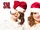 December 19, 2015