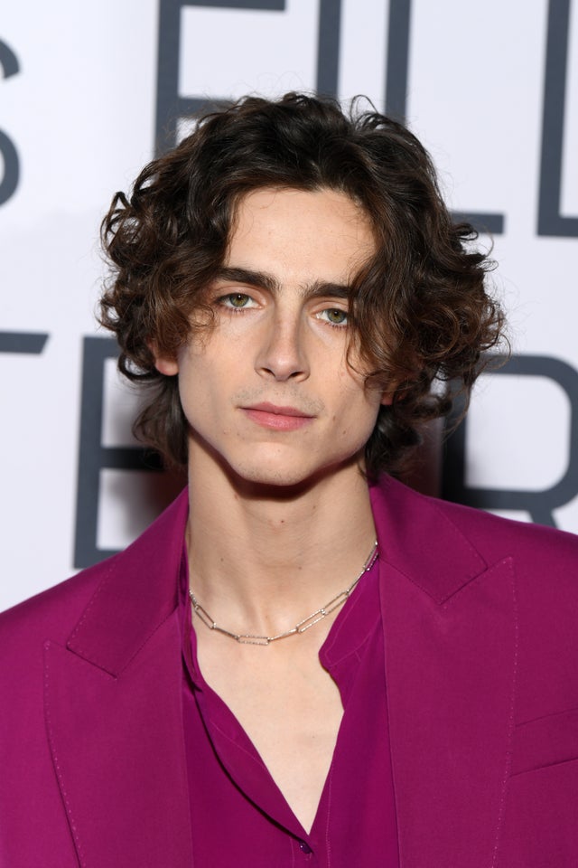 Reductress » Watch Out! These Pictures of Timothée Chalamet Will Send You  Into Cardiac Arrest and We Cannot Save You