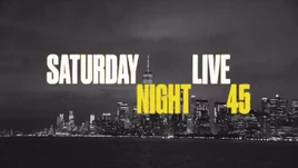 Snl-45-logo