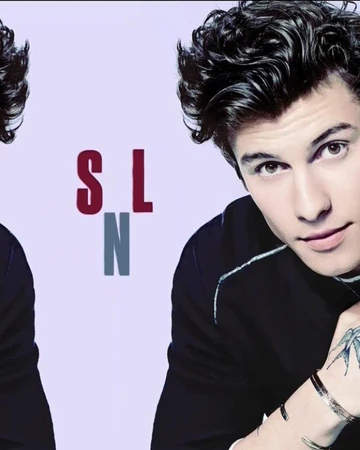 Shawn Mendes Saturday Night Live Wiki Fandom