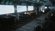 The Cattle Car