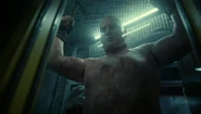Icy Bob in the Sub-Zero Chamber