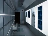 The Drawers