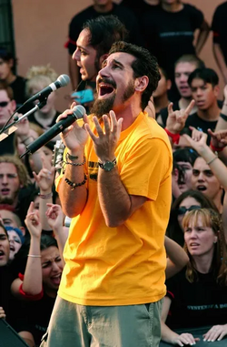 serj tankian chop suey