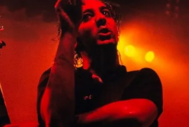 Daron malakian cheap wwe