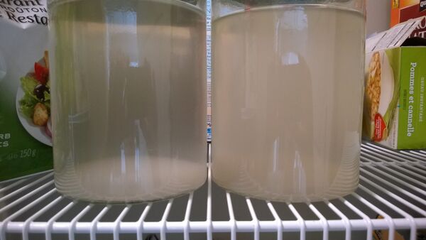 Sludge experiment1a 2 observation 8