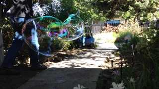 20120420guar in shade