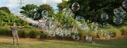 Garland bubbles