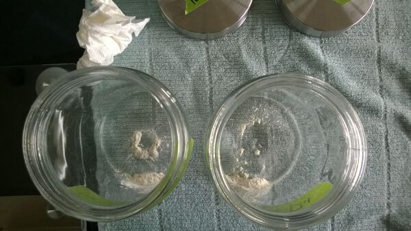 Sludge experiment1 5 hydration 2