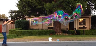 20120428 egoo1 crop660forwiki