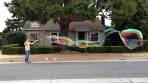 Single-strand loop and guar juice