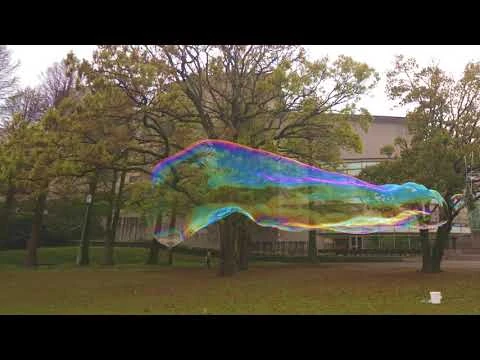 Test_for_Konjac_20210414