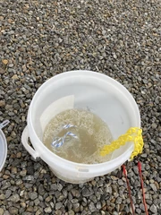 Yellow solution like curry soup...