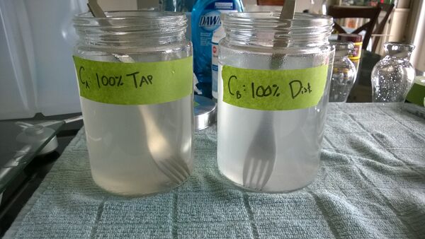 Slude experiment1 5 hydration 6